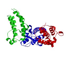 Image of CATH 4a9e