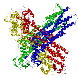 Image of CATH 4acr