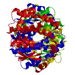 Image of CATH 4acs