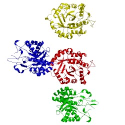 Image of CATH 4ad0