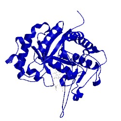 Image of CATH 4ad4