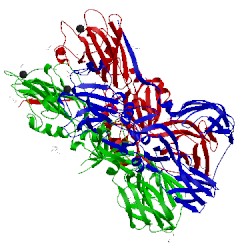 Image of CATH 4adg