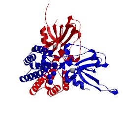 Image of CATH 4adn