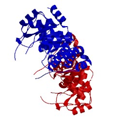 Image of CATH 4adt