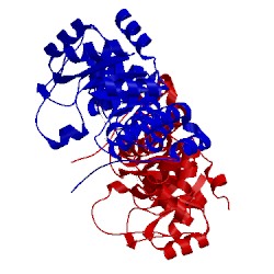 Image of CATH 4adu