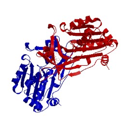 Image of CATH 4af6