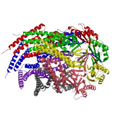 Image of CATH 4age