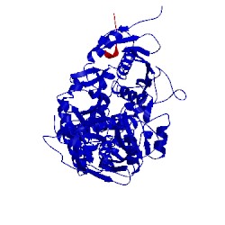 Image of CATH 4aim