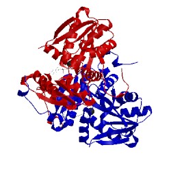 Image of CATH 4air