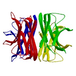 Image of CATH 4aix