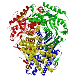 Image of CATH 4aj2