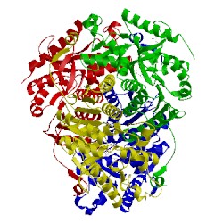 Image of CATH 4aje