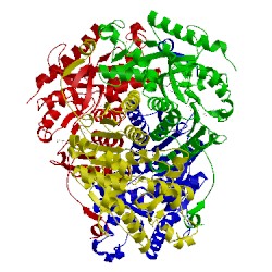 Image of CATH 4ajh