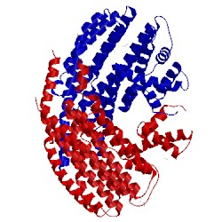 Image of CATH 4akk