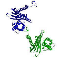 Image of CATH 4akr