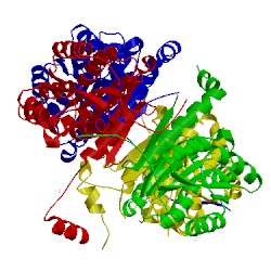 Image of CATH 4alm