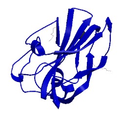 Image of CATH 4als