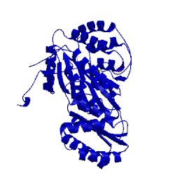 Image of CATH 4amn