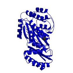 Image of CATH 4amp