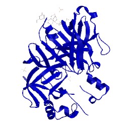 Image of CATH 4amt