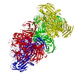 Image of CATH 4amw