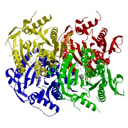 Image of CATH 4ap0