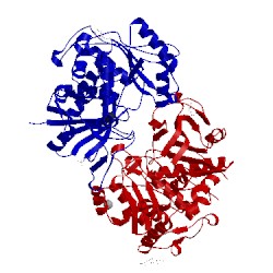 Image of CATH 4ap5