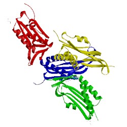 Image of CATH 4ap8