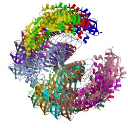 Image of CATH 4apw
