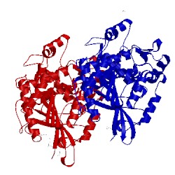 Image of CATH 4arv