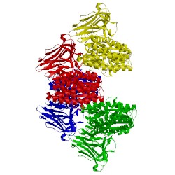 Image of CATH 4arx