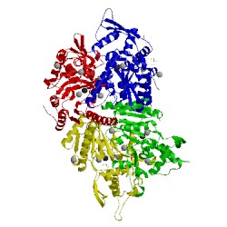 Image of CATH 4as2