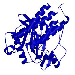 Image of CATH 4ase