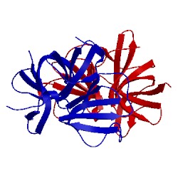 Image of CATH 4ash