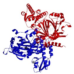 Image of CATH 4ask