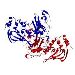 Image of CATH 4avc