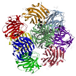Image of CATH 4avt