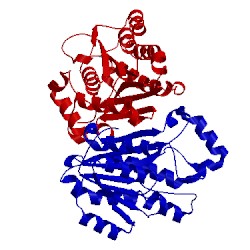 Image of CATH 4avy