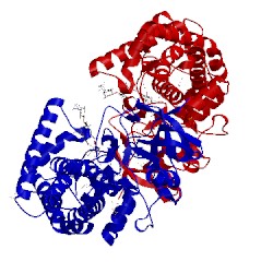 Image of CATH 4aw3