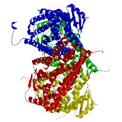 Image of CATH 4aw6