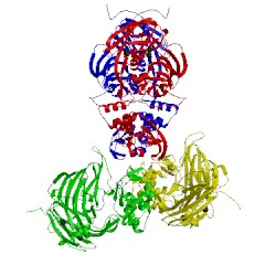 Image of CATH 4ax3