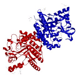 Image of CATH 4ax6