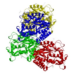 Image of CATH 4ax7