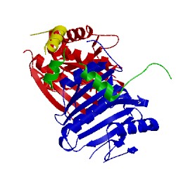 Image of CATH 4axg