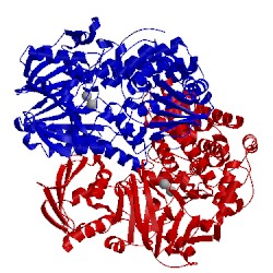 Image of CATH 4axh