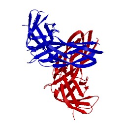 Image of CATH 4ay0