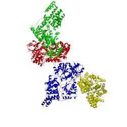 Image of CATH 4ay5