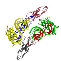 Image of CATH 4aym