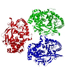 Image of CATH 4b02