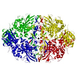 Image of CATH 4b40